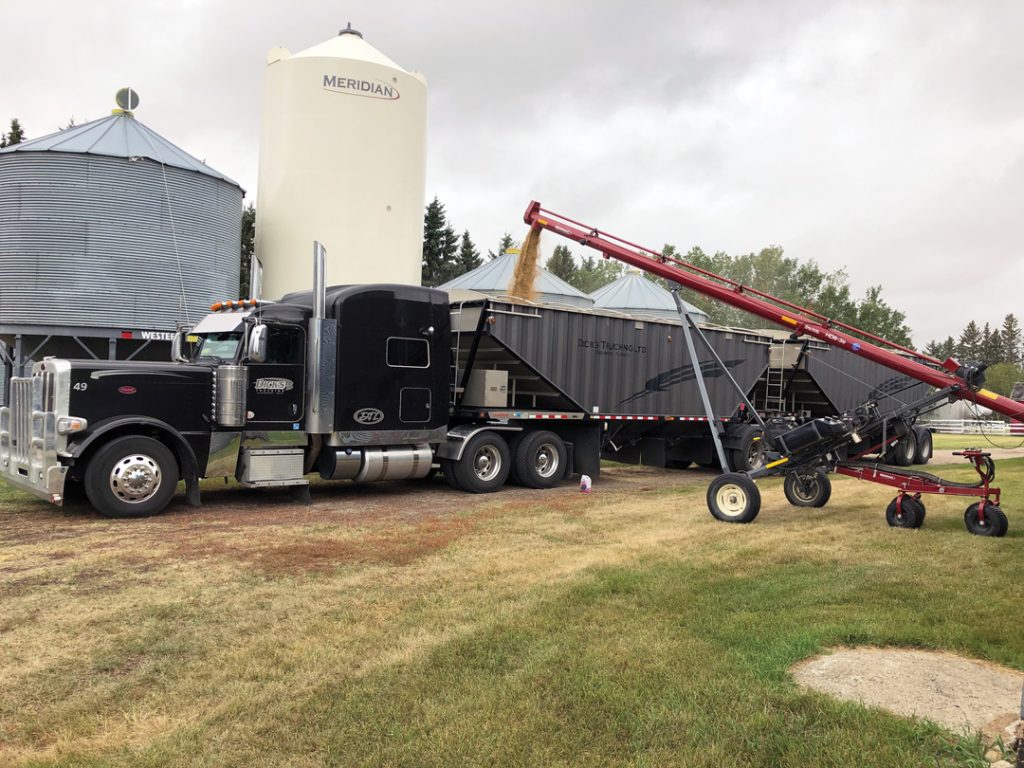 local grain hauling jobs