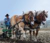 HORSE-DRAWN EQUIPMENT SHOP GALLOPS ALONG