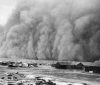 DEVASTATION OF THE DUST BOWL DIDN’T PRODUCE IMMEDIATE AGRICULTURAL REFORM