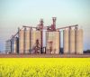 CEREALS ORGANIZATION CRITICAL OF BUNGE-VITERRA MERGER