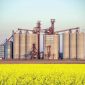 CEREALS ORGANIZATION CRITICAL OF BUNGE-VITERRA MERGER