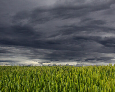 THE UPS AND DOWNS OF WET WEATHER