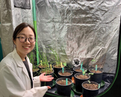 RESEARCH, REPORT, REPEAT