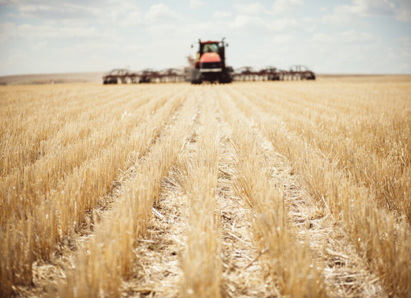 RISK MANAGEMENT REINTERPRETED