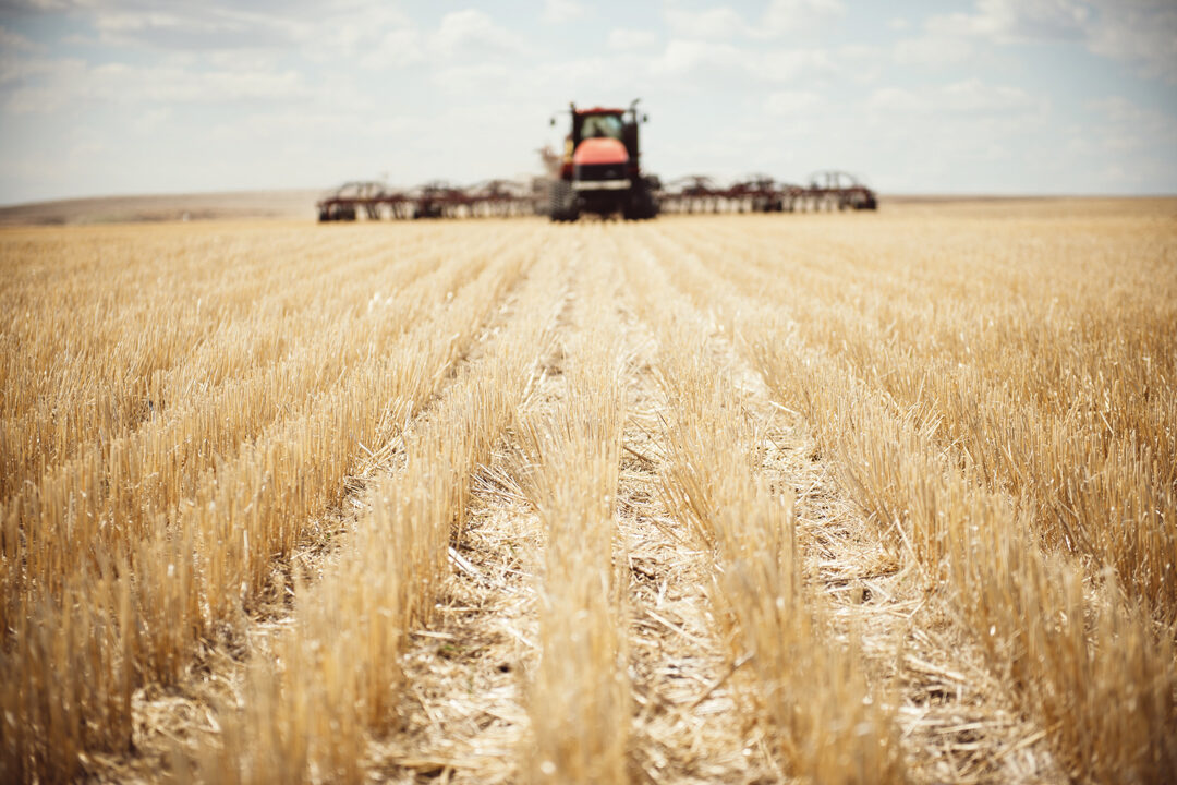 RISK MANAGEMENT REINTERPRETED