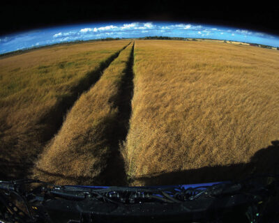 SEE THE FIELD IN A NEW WAY