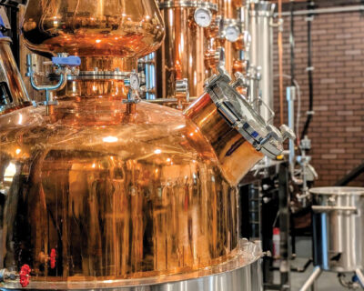 A SPLASH OF DIVERSIFICATION