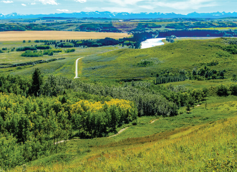 GOOD INTENTIONS, LOW UPTAKE