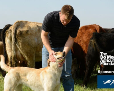 A MENTAL HEALTH CONVERSATION STARTER